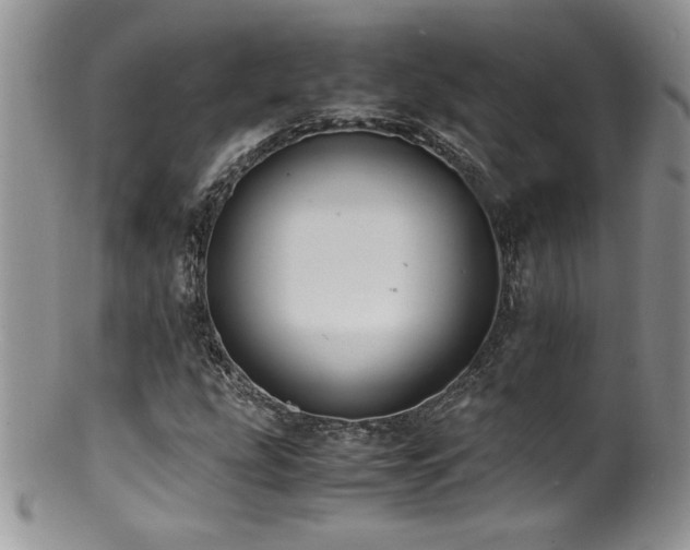 X0000100851207200806201206