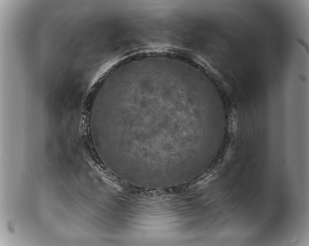 X0000100851208200806201206