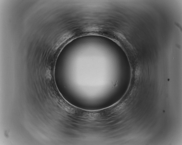 X0000100851209200806201206