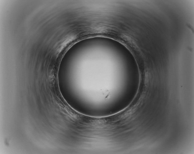 X0000100851210200806201206