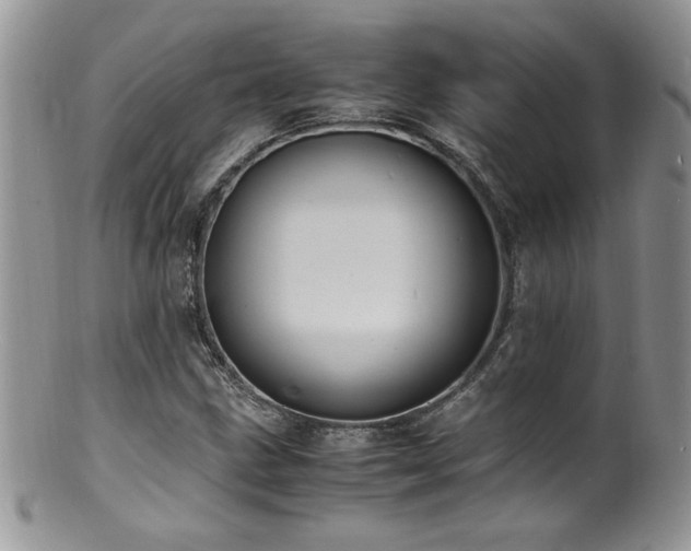 X0000100851211200806201206