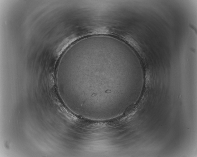 X0000100851212200806201206