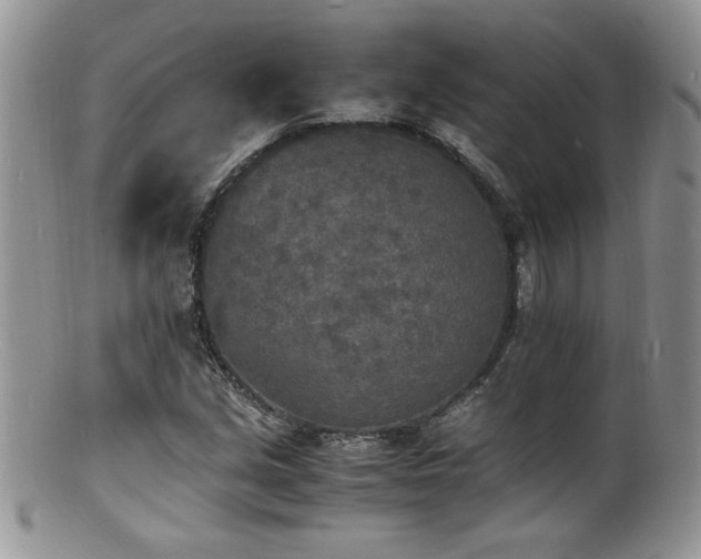 X0000100851213200806201206