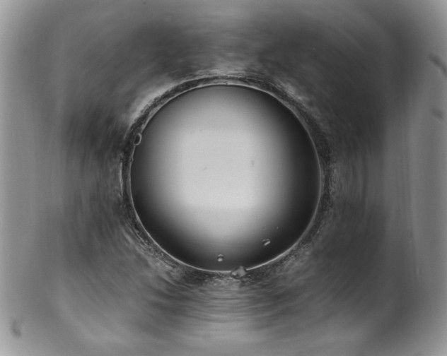 X0000100851214200806201206