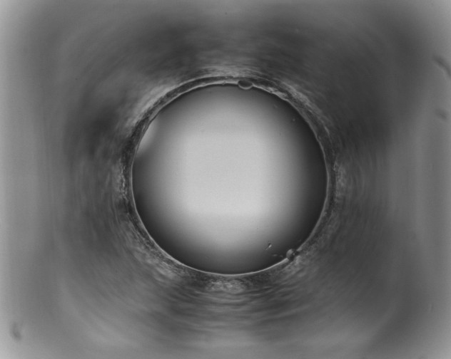 X0000100851215200806201206