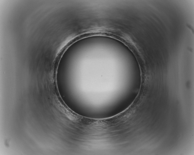 X0000100851216200806201206