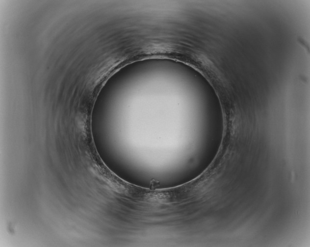 X0000100851217200806201206