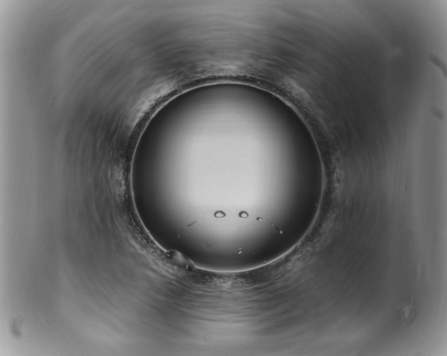 X0000100851218200806201206