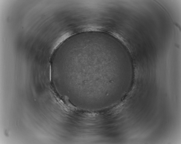 X0000100851219200806201206