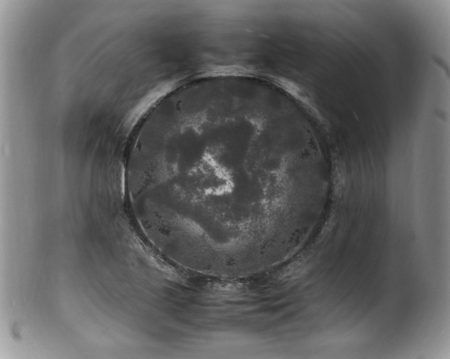 X0000100851221200806201206