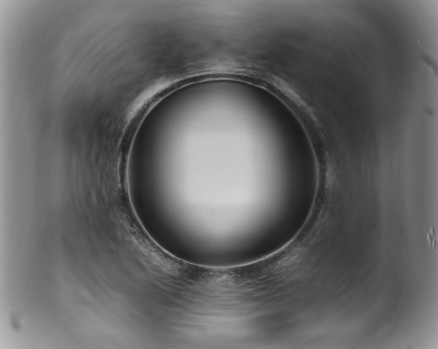 X0000100851222200806201206