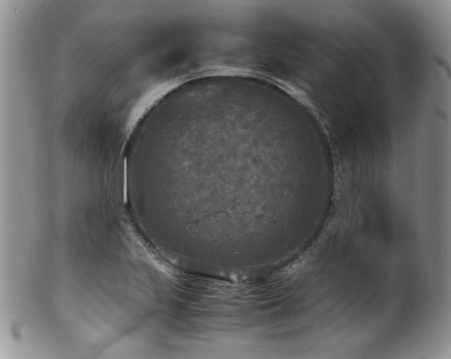 X0000100851223200806201206