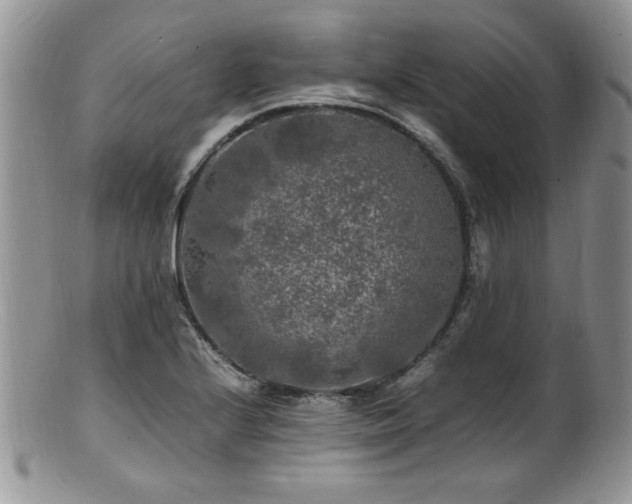 X0000100851224200806201206