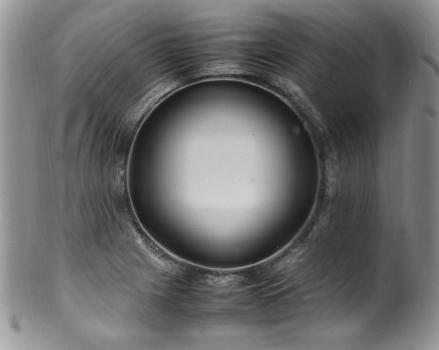 X0000100851225200806201206