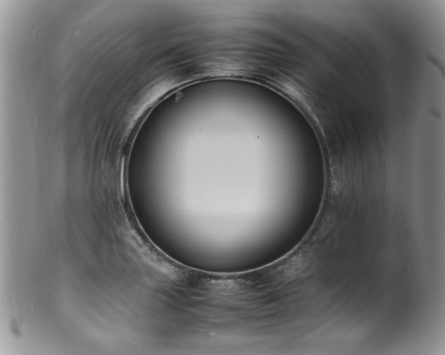 X0000100851227200806201206