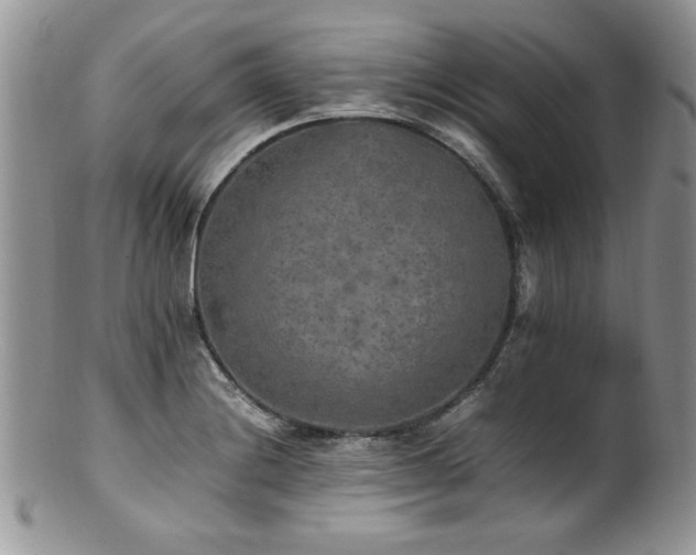 X0000100851228200806201206