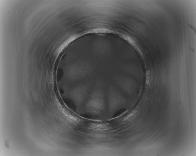 X0000100851229200806201206