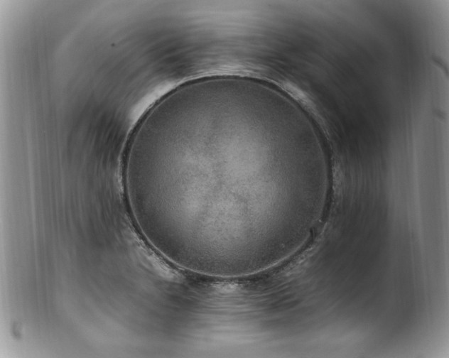 X0000100851230200806201206