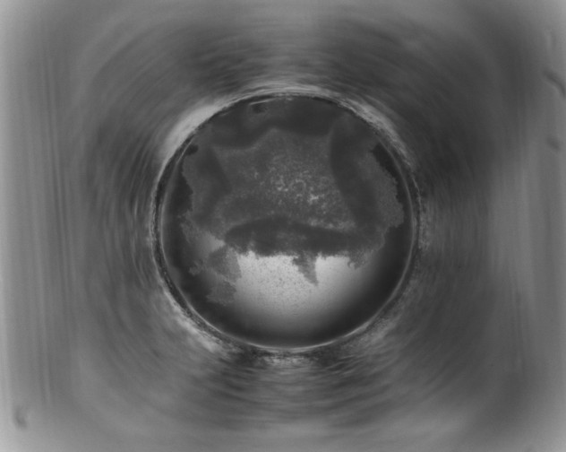 X0000100851231200806201206
