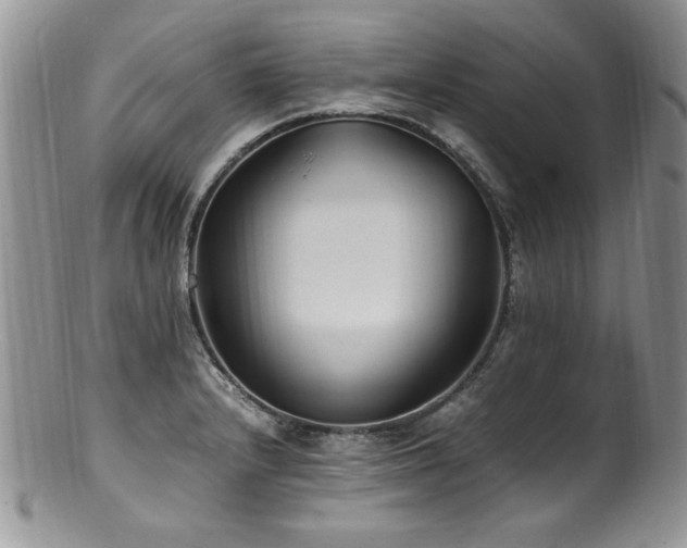 X0000100851232200806201206
