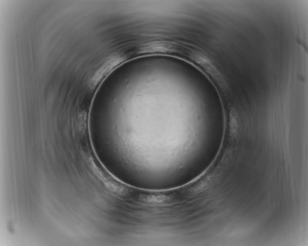 X0000100851233200806201206