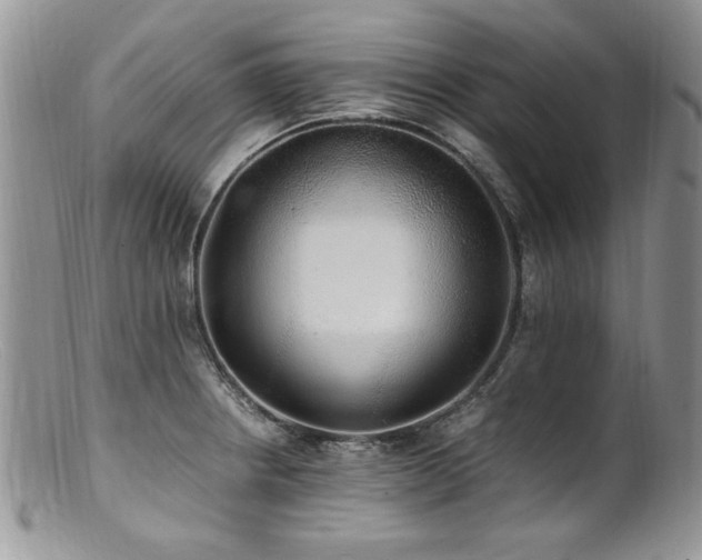 X0000100851234200806201206