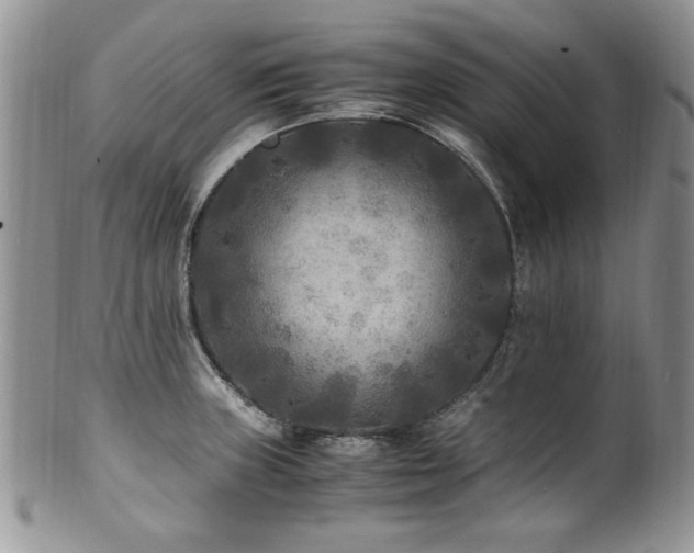 X0000100851235200806201206