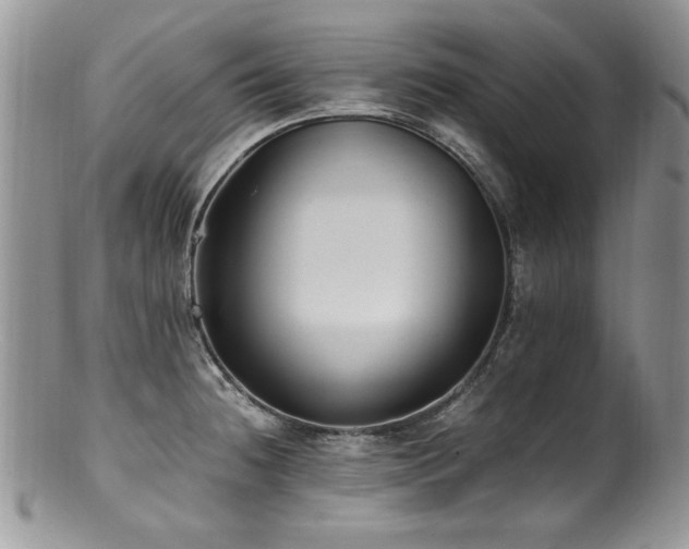 X0000100851236200806201206