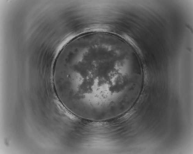 X0000100851240200806201206