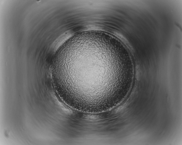 X0000100851241200806201206