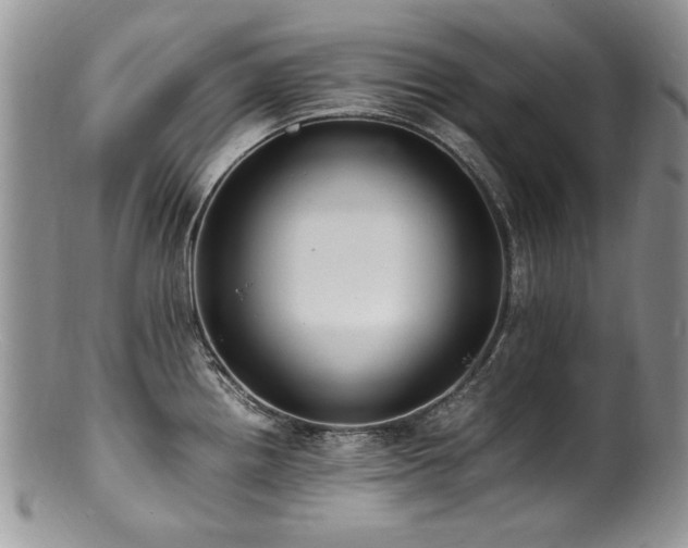 X0000100851242200806201206