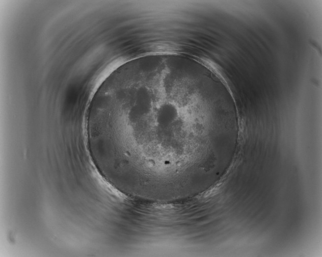 X0000100851243200806201206