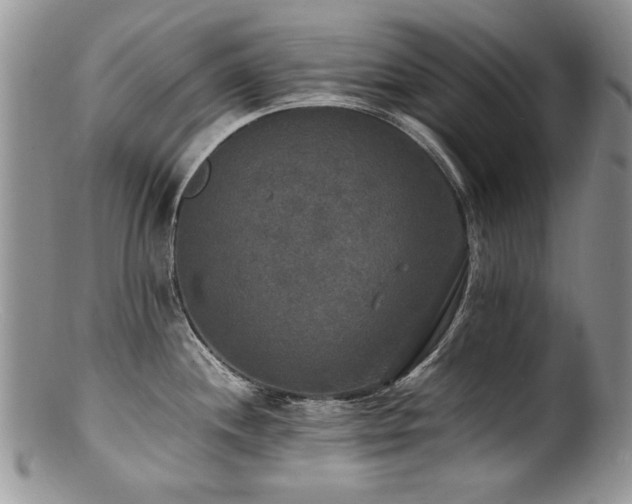 X0000100851244200806201206