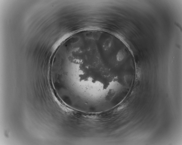 X0000100851245200806201206