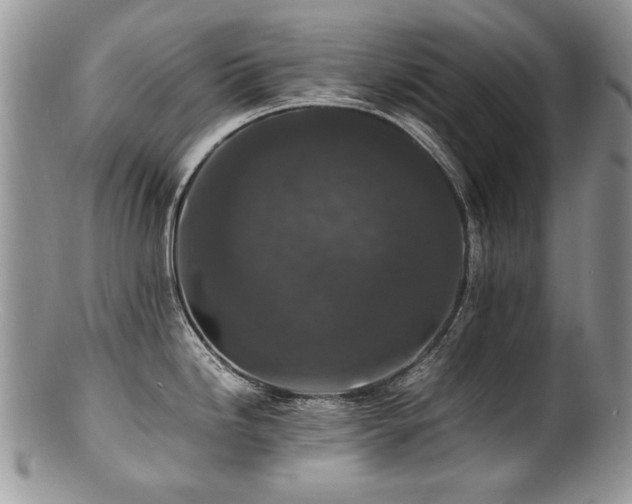 X0000100851246200806201206