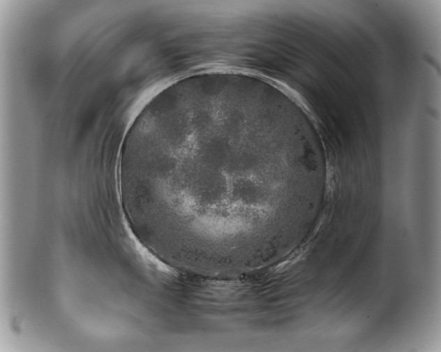 X0000100851247200806201206