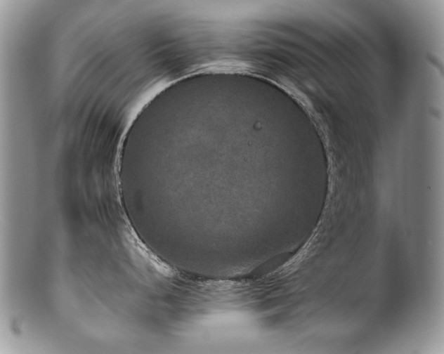 X0000100851248200806201206