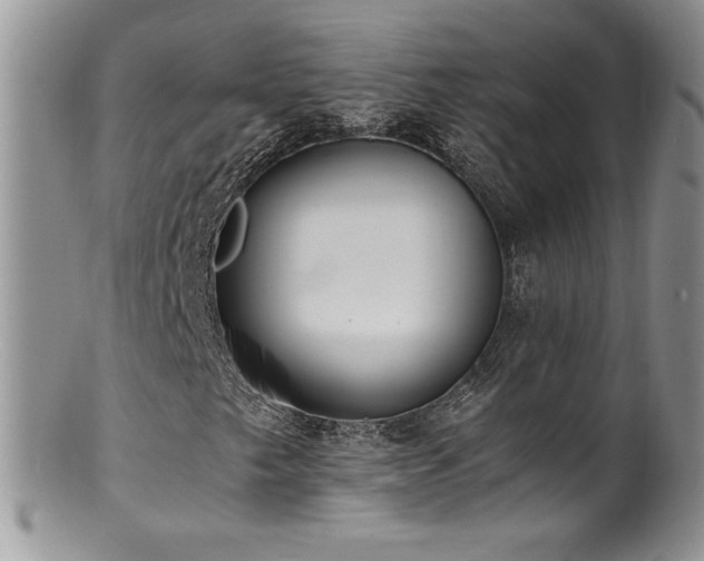 X0000100851249200806201206