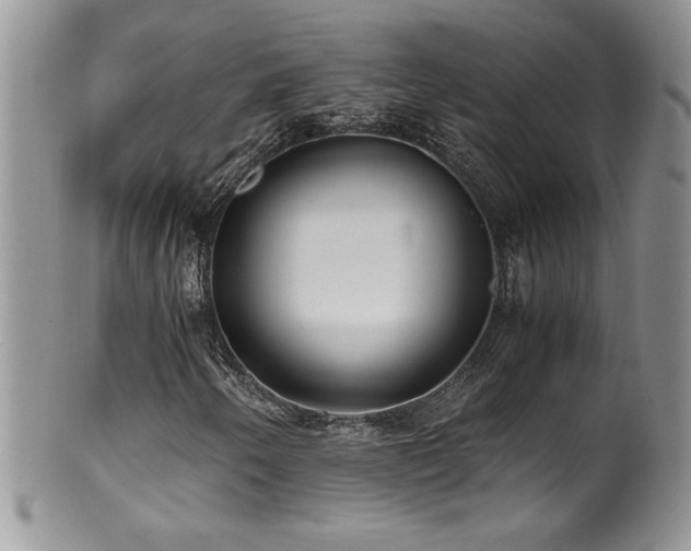 X0000100851250200806201206
