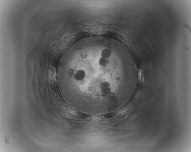 X0000100851251200806201206