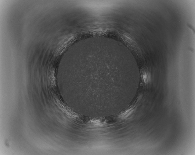 X0000100851252200806201206