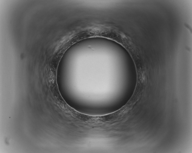X0000100851253200806201206
