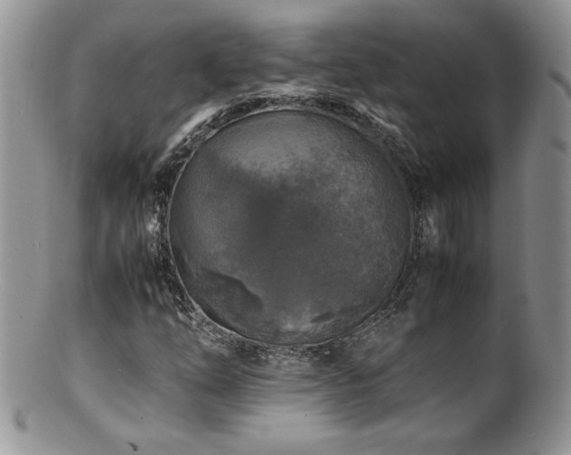X0000100851254200806201206