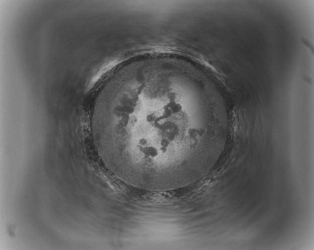 X0000100851255200806201206