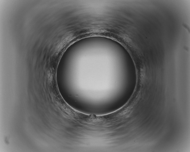 X0000100851257200806201206