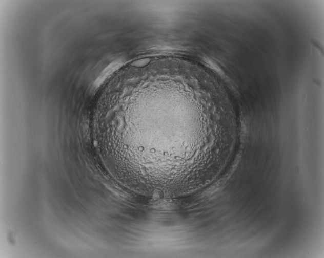 X0000100851259200806201206