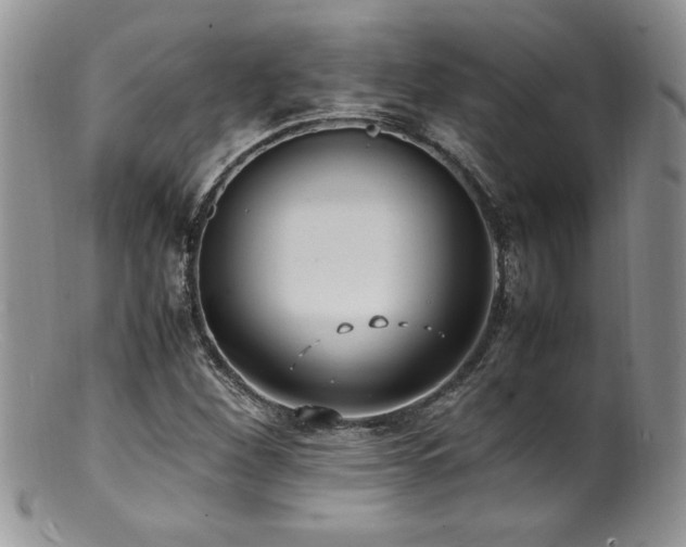 X0000100851260200806201206