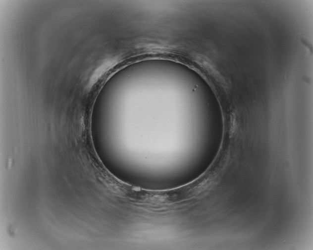 X0000100851261200806201206