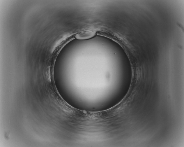 X0000100851262200806201206