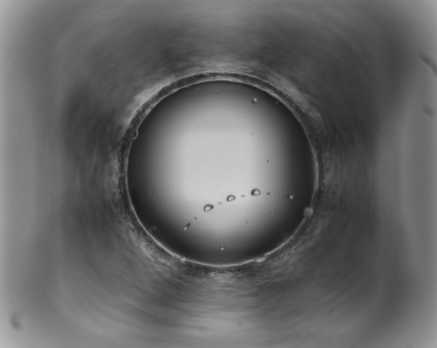 X0000100851264200806201206